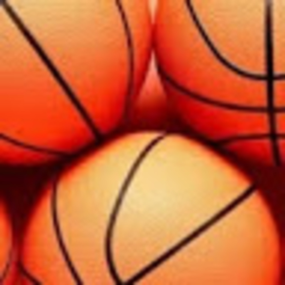 Meet your Posher, Lily